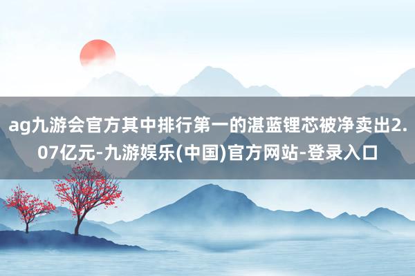 ag九游会官方其中排行第一的湛蓝锂芯被净卖出2.07亿元-九游娱乐(中国)官方网站-登录入口