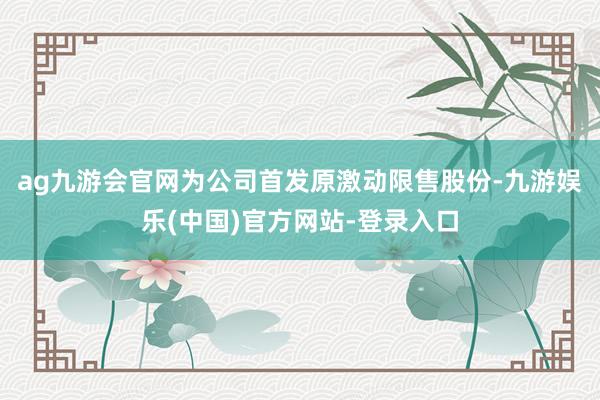 ag九游会官网为公司首发原激动限售股份-九游娱乐(中国)官方网站-登录入口