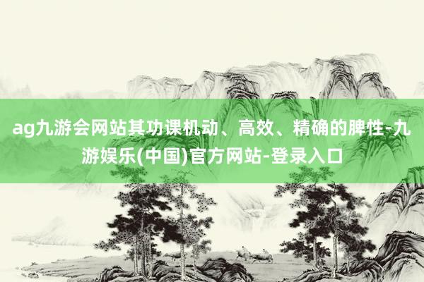 ag九游会网站其功课机动、高效、精确的脾性-九游娱乐(中国)官方网站-登录入口